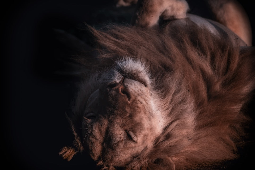 Stop Being Nice, Start Being Good